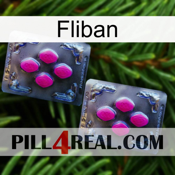 Fliban 01